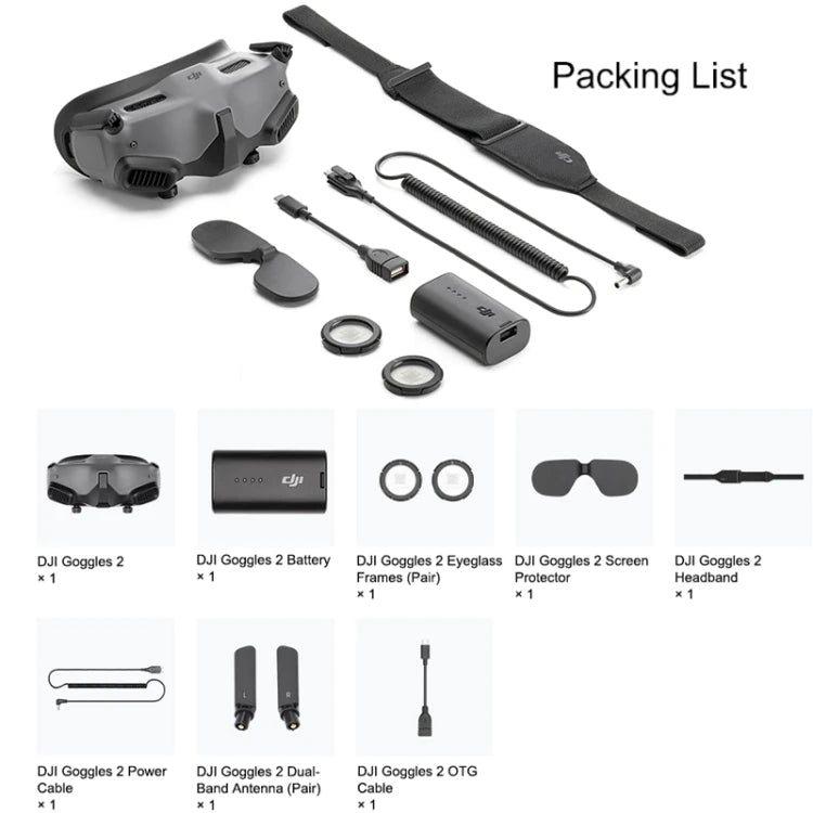 DJI Goggles 2